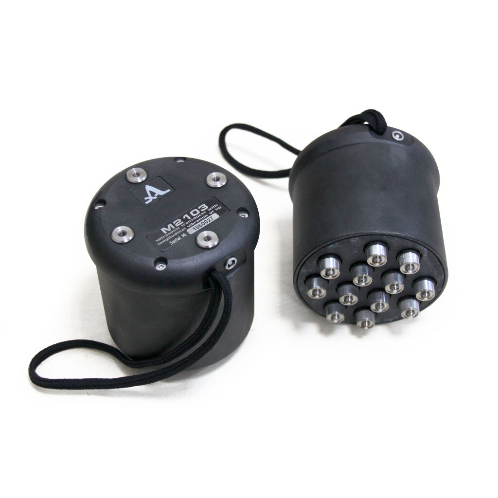 M2103 - longitudinal wave DPC transducer array 100 KHz